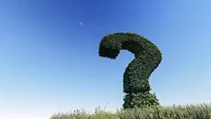 대상포진 원인 7가지, 대상포진은 왜 발생할까? 대상포진 원인 7가지